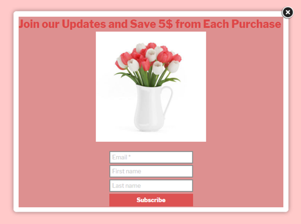 Subscription popup Join our updates and save 5$ from each purchase