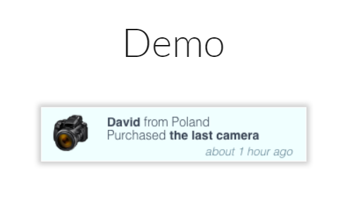 Sample recent sales popup David from Poland purchased the last camera